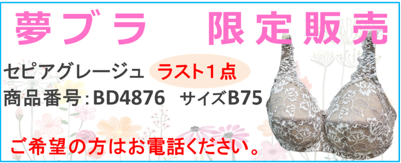 セピアグレージュ残り１枚