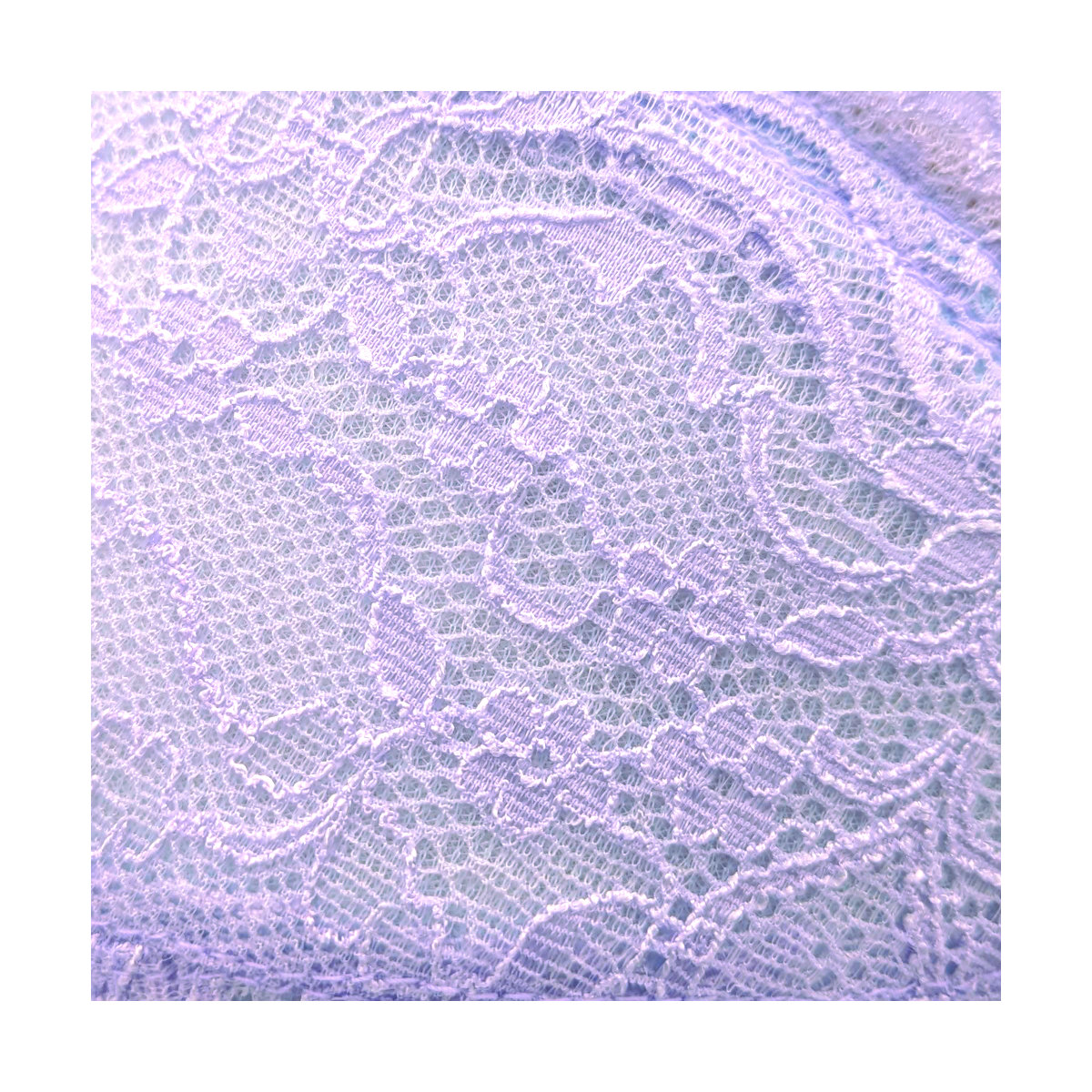 ゆめブラ　アップ